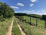 IMG_0115(1)