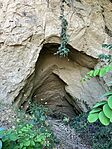IMG_0104(1)