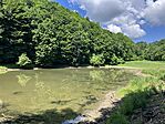 IMG_0151(1)
