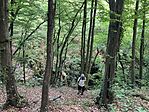 IMG_0173(1)