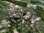 IMG_0176(1)