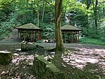 IMG_0177(1)
