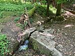 IMG_0178(1)