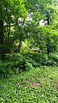 IMG_20250512_152433
