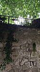 IMG_20250513_131859