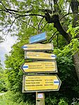 IMG_2420