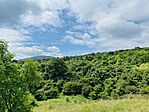 IMG_2684