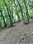 IMG_2702