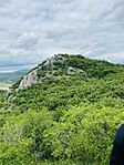 IMG_2737