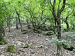 IMG_2739