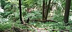 IMG_20250517_142351400