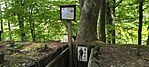 IMG_20250524_141749