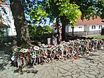 IMG_20250521_155626