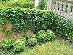 IMG_20250524_135951