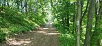 IMG_20250503_122010