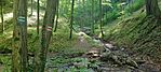 IMG_20250503_155332