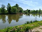 IMG_20250503_101834