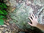 IMG_20250502_101559