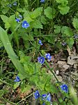 IMG_20250502_105120