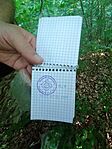 IMG_20250502_094506