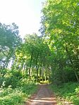 IMG_20250502_092230