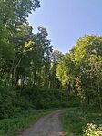 IMG_20250502_091743