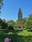 IMG_20250502_091058