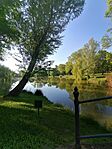 IMG_20250502_074604
