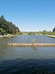 IMG_20250501_110744
