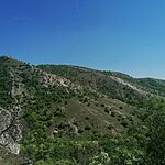 IMG-20250501-WA0011