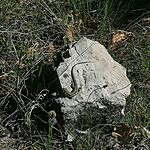 IMG-20250501-WA0047