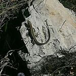 IMG-20250501-WA0043
