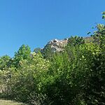 IMG-20250501-WA0038