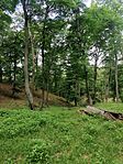 IMG_20250511_115509