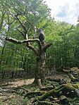 IMG_20250511_113058