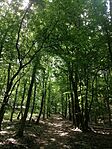 IMG_20250511_111902