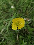 IMG_20250511_102028