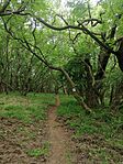 IMG_20250511_095809