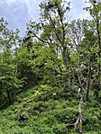 IMG_5748
