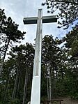 IMG_5772