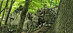 IMG_20250501_134530