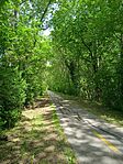 IMG_20250503_135422