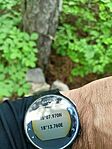 IMG20250524113829