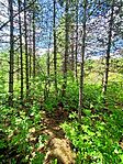 IMG20250524114141