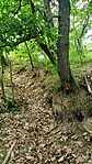 IMG20250526124231