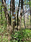 20250420_131553 (1)