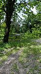 IMG_20250511_115225_845