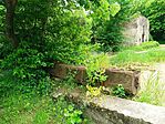 IMG_20250509_135257.jpg
