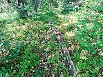 IMG_20250514_160617.jpg