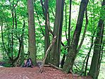 IMG_20250529_102134.jpg